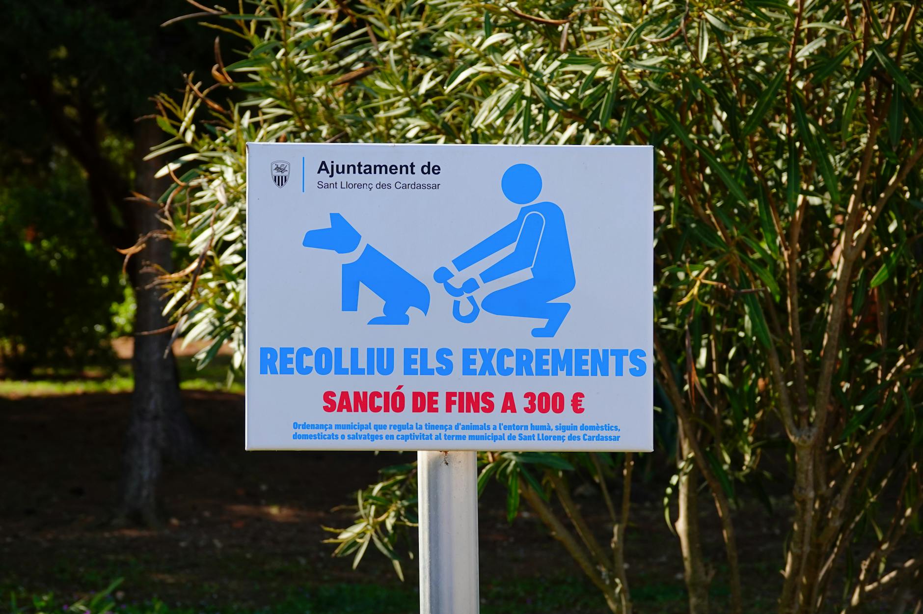 Kara za niesprzątanie klatki schodowej – kto odpowiada i ile wynosi mandat w Krakowie?